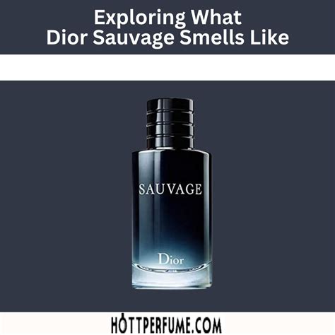 dior sauvage dupe action|what smells like Dior Sauvage.